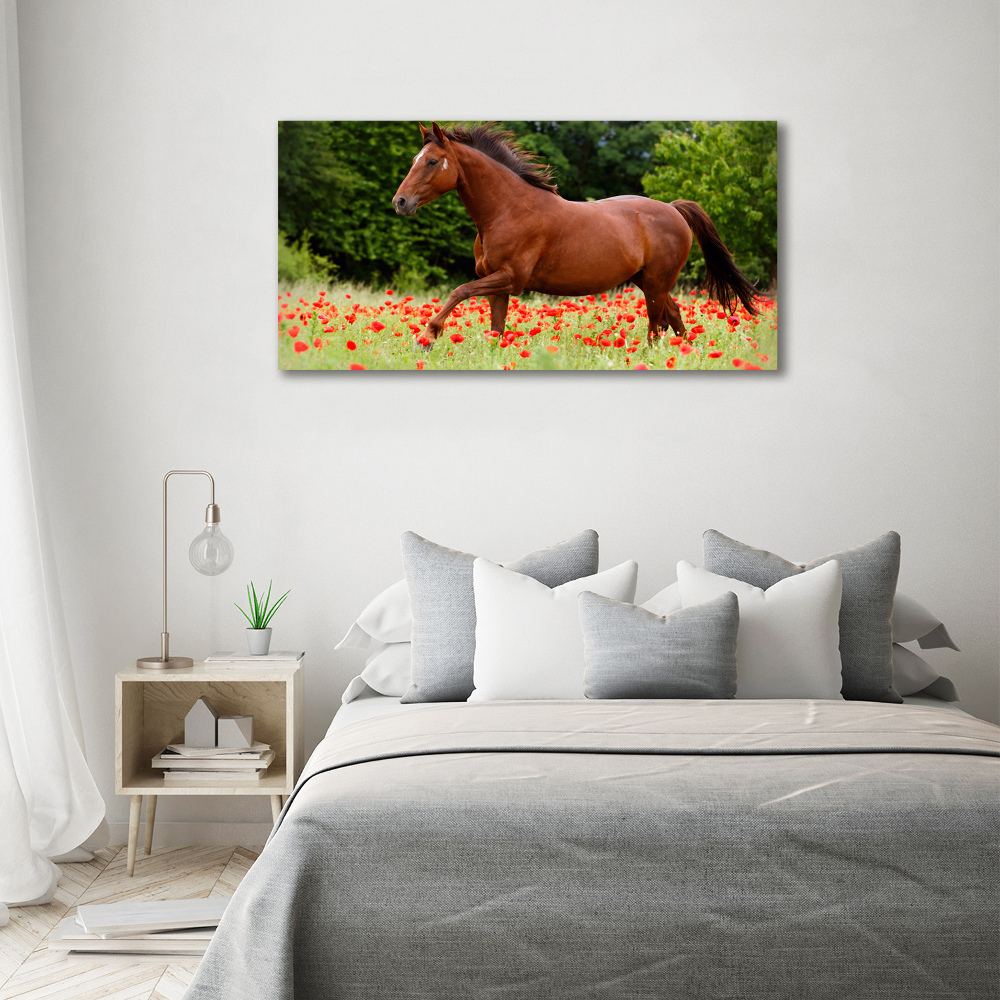 Tableau imprimé sur verre Cheval dans un champ de coquelicots