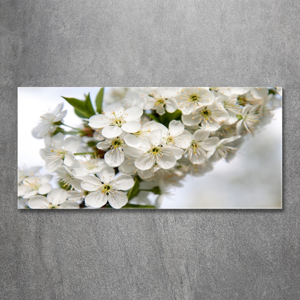 Tableau verre imprimé Fleurs de cerisier