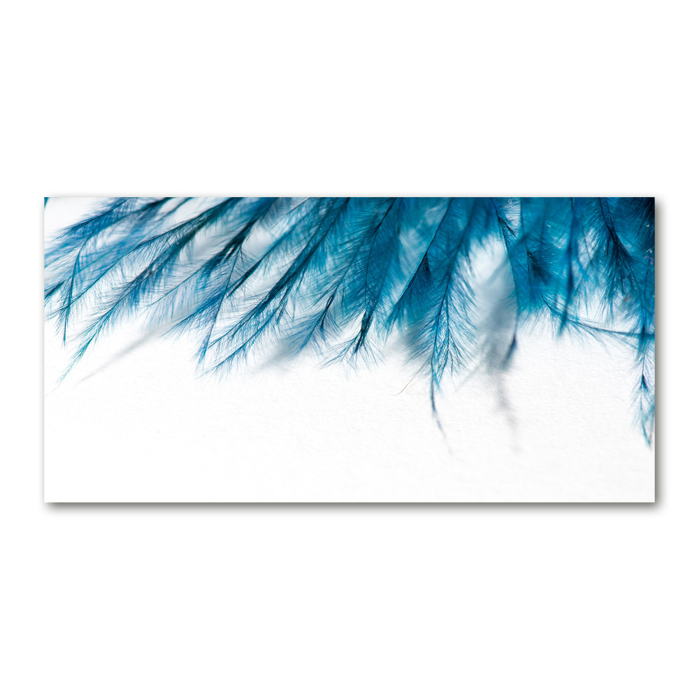 Tableau sur verre Plumes bleues