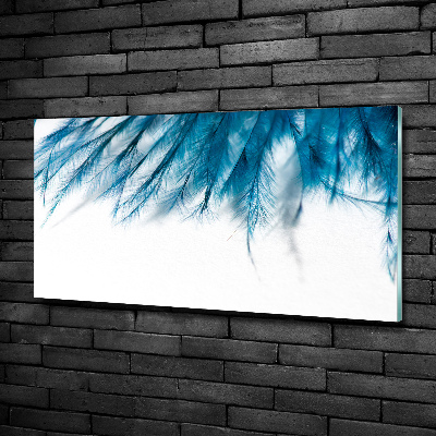 Tableau sur verre Plumes bleues