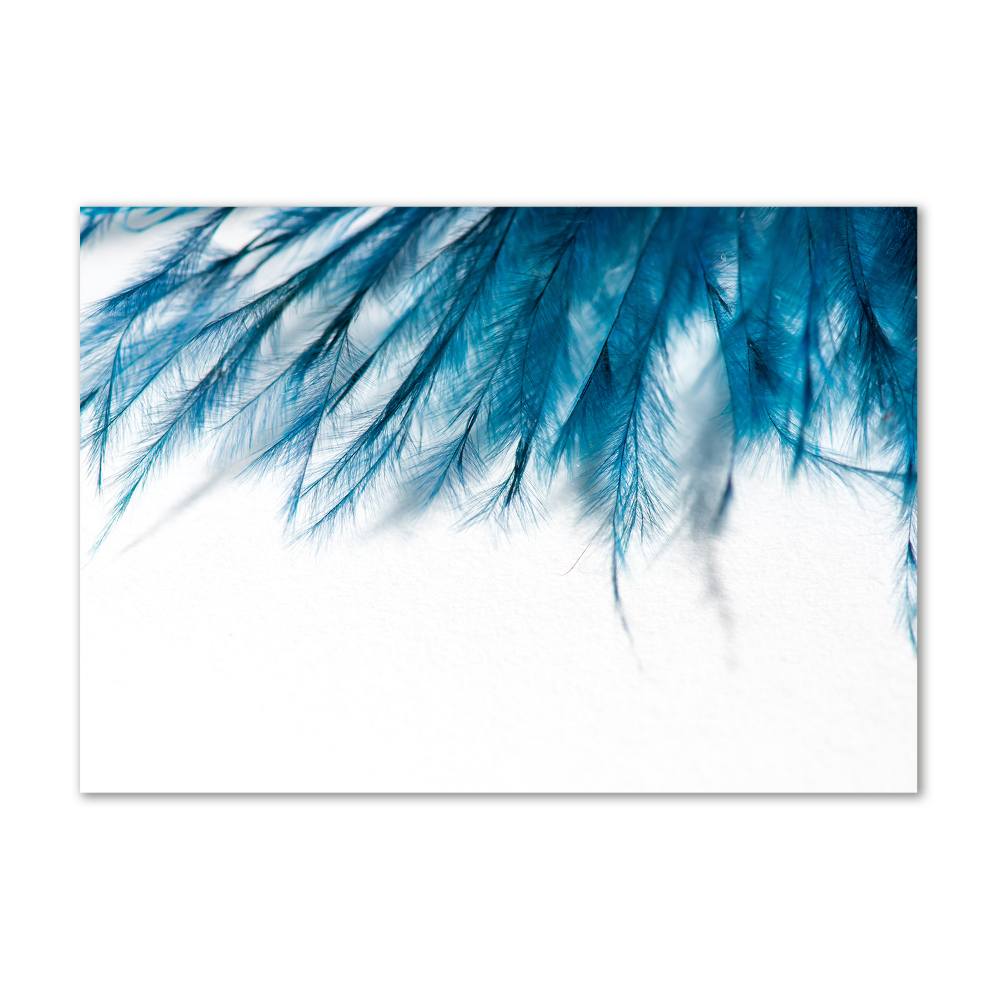 Tableau sur verre Plumes bleues