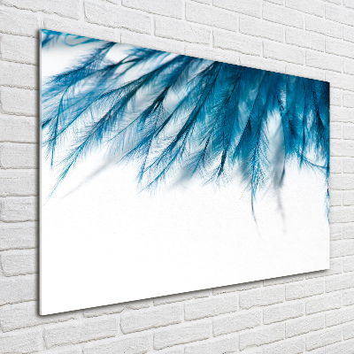 Tableau sur verre Plumes bleues