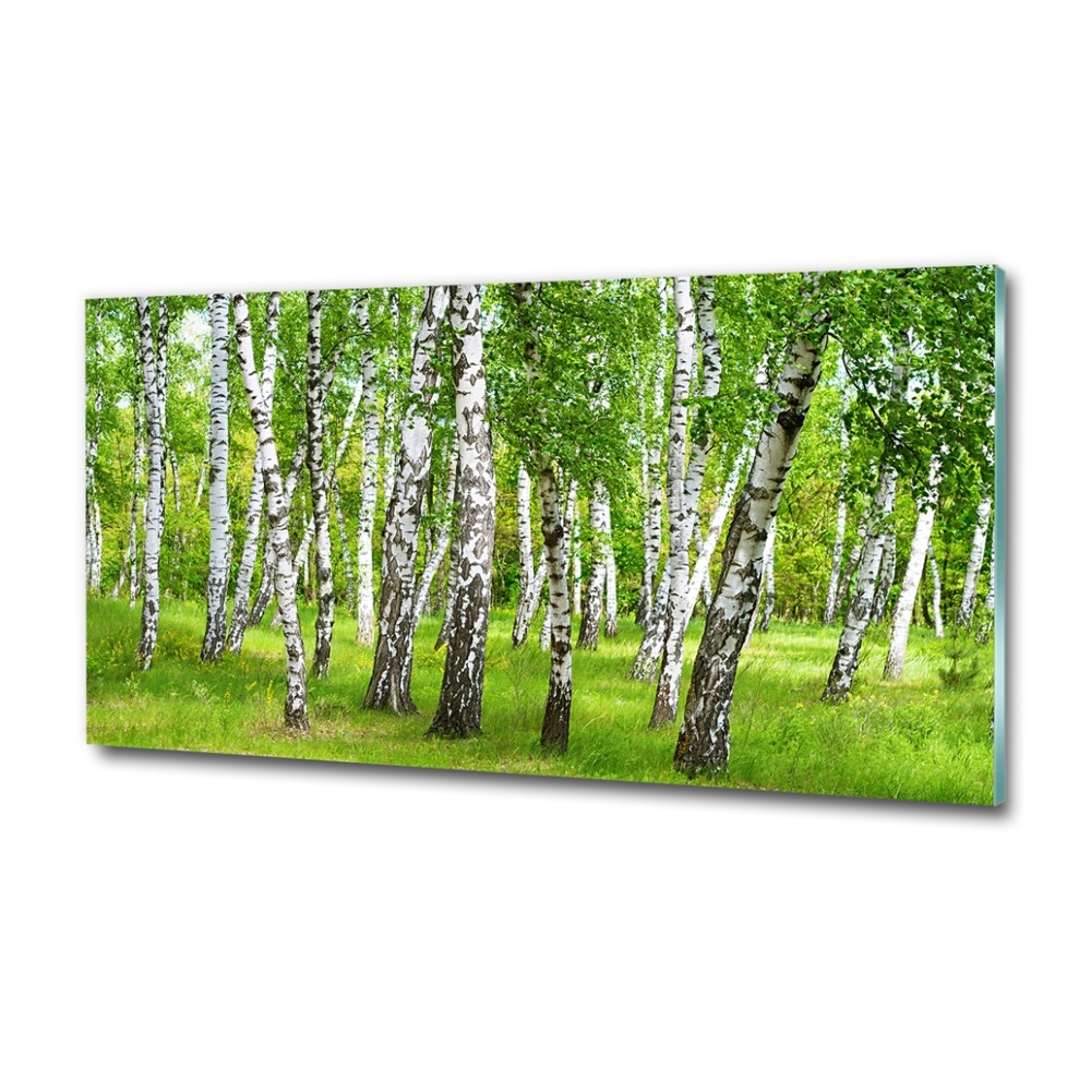 Tableau imprimé sur verre Forêt de bouleaux