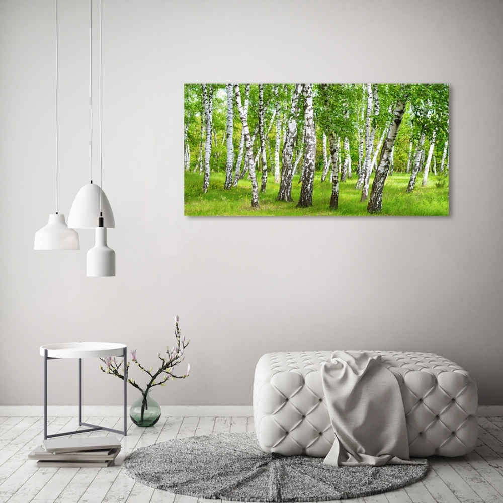 Tableau imprimé sur verre Forêt de bouleaux