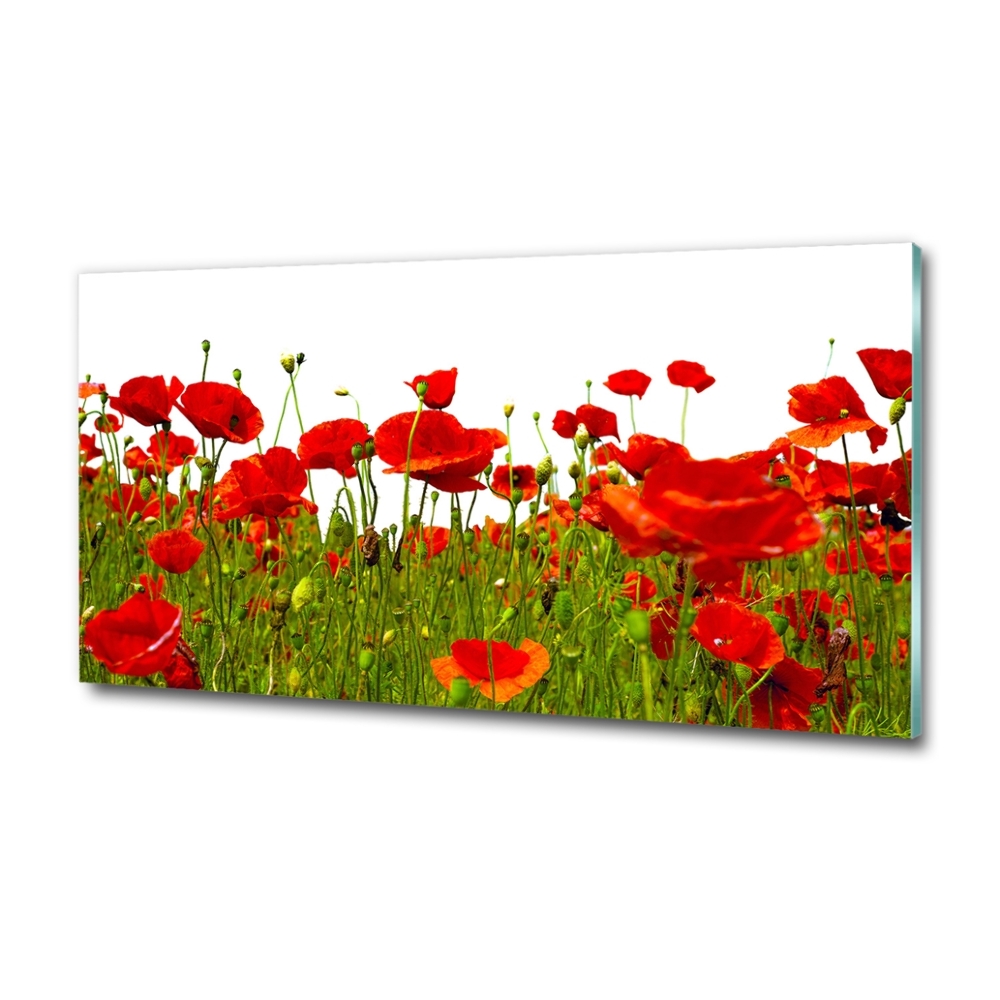 Tableau en verre Coquelicots des champs