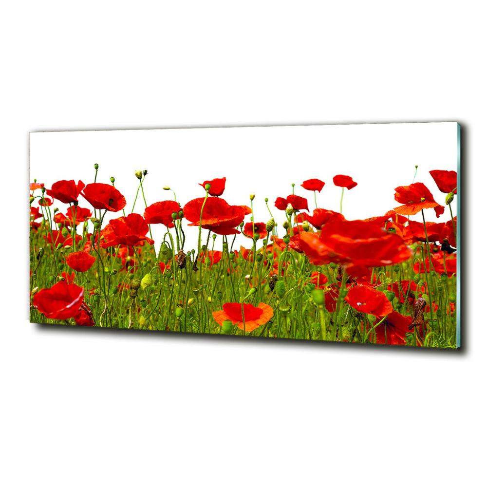 Tableau en verre Coquelicots des champs