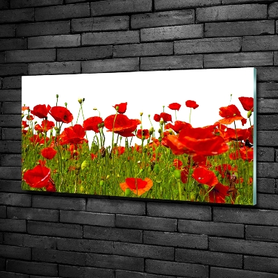 Tableau en verre Coquelicots des champs