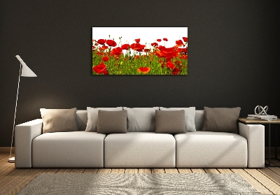 Tableau en verre Coquelicots des champs