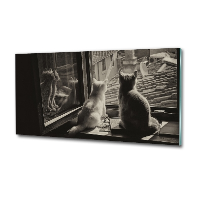 Tableau photo sur verre Chats à la fenêtre