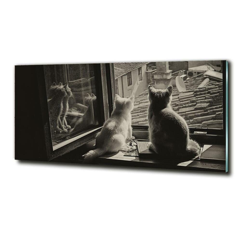 Tableau photo sur verre Chats à la fenêtre