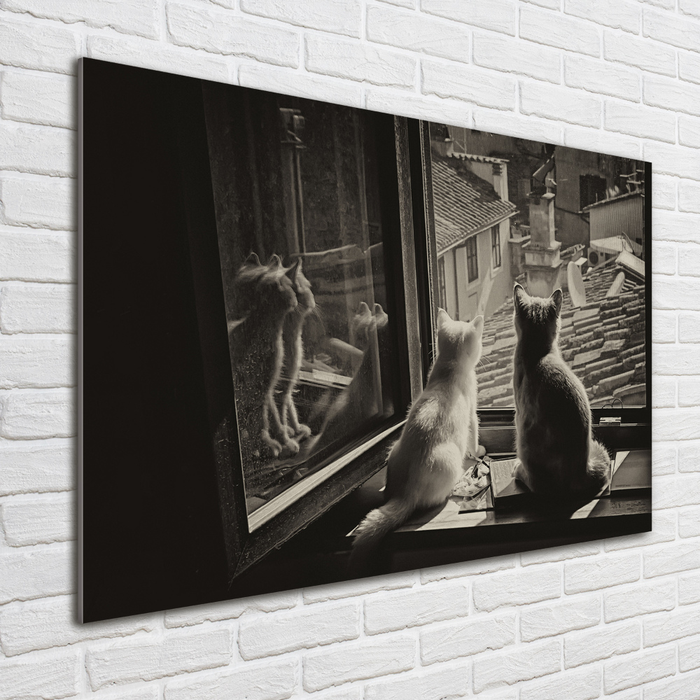 Tableau photo sur verre Chats à la fenêtre