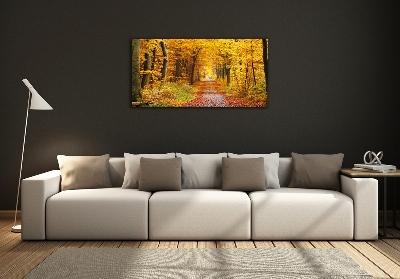 Tableau verre imprimé Forêt d'automne