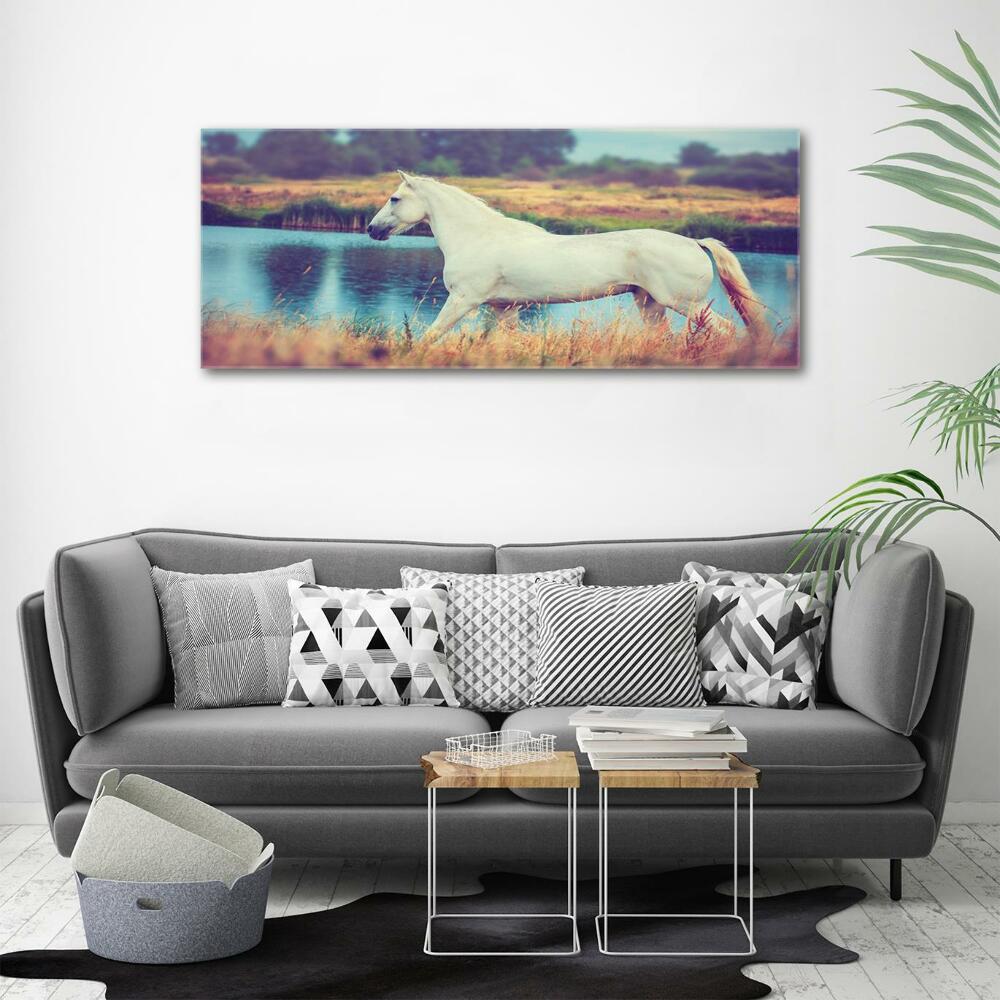 Tableau photo sur verre Cheval blanc lac