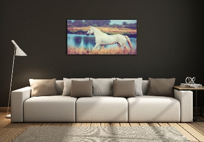 Tableau photo sur verre Cheval blanc lac