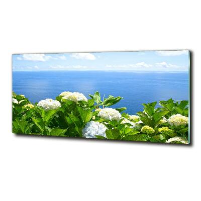 Tableau verre imprimé Fleurs au bord de la mer