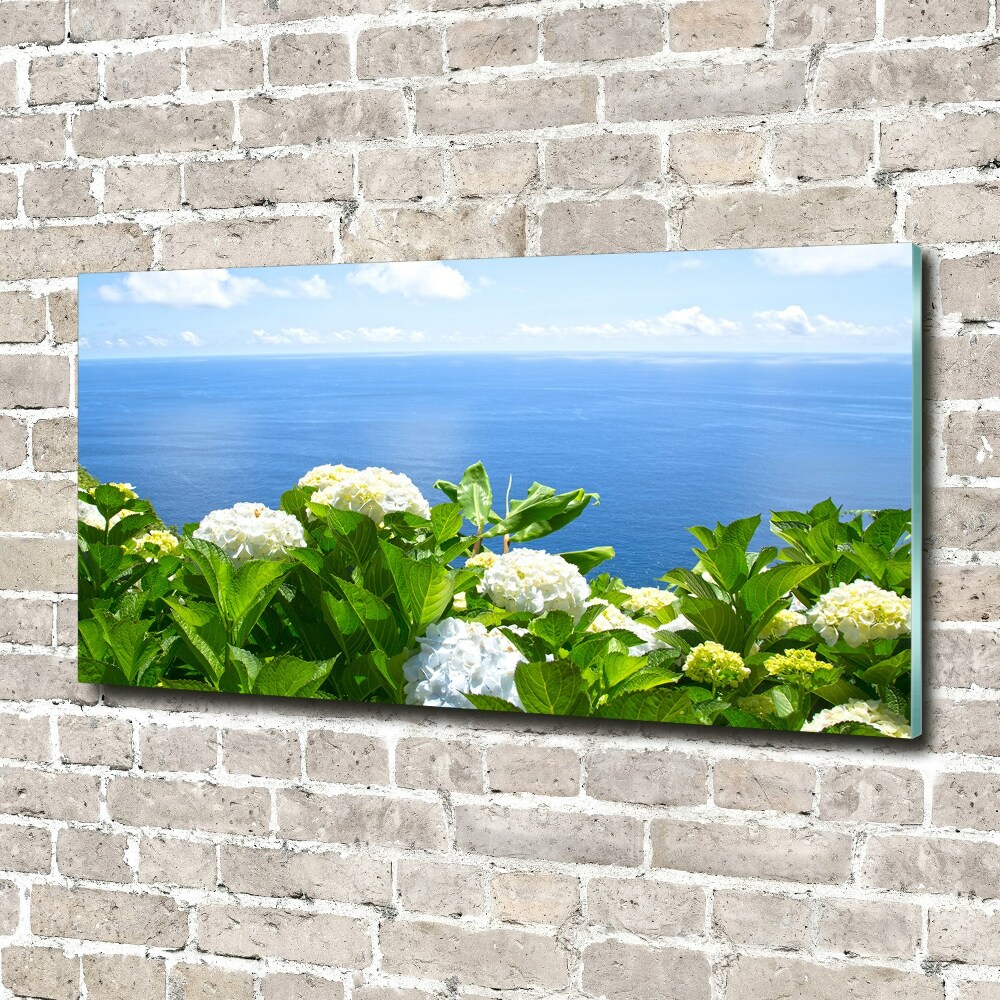 Tableau verre imprimé Fleurs au bord de la mer