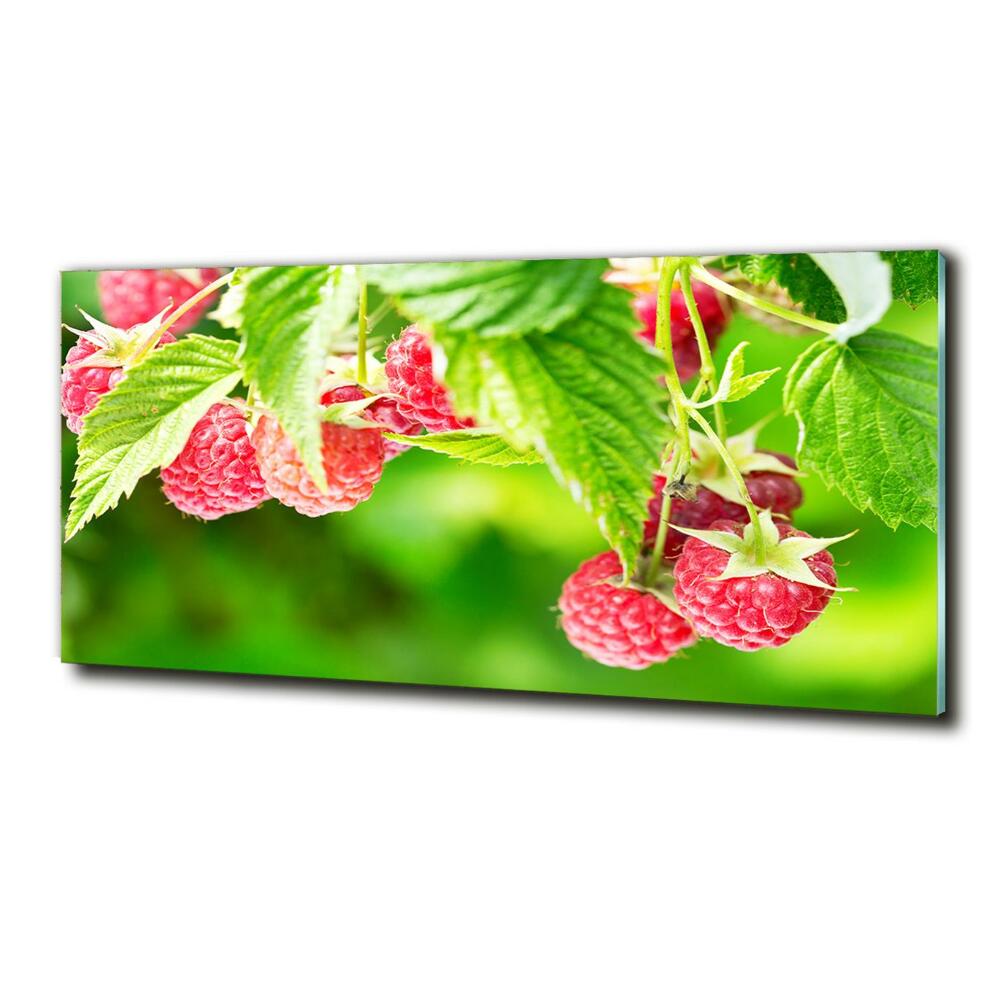 Tableau imprimé sur verre Framboises dans le jardin