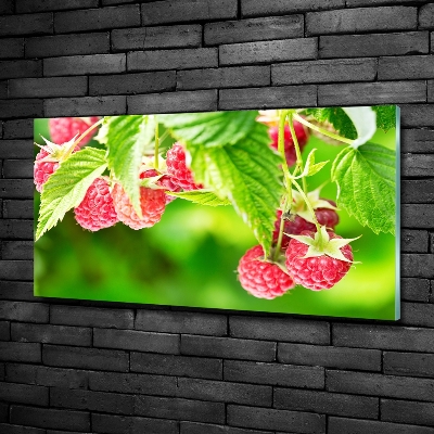 Tableau imprimé sur verre Framboises dans le jardin