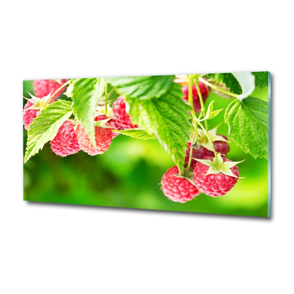 Tableau imprimé sur verre Framboises dans le jardin