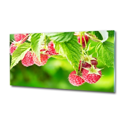 Tableau imprimé sur verre Framboises dans le jardin