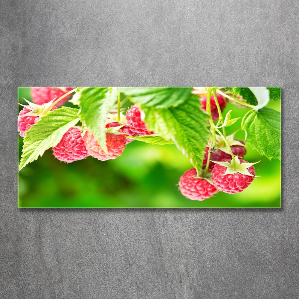 Tableau imprimé sur verre Framboises dans le jardin