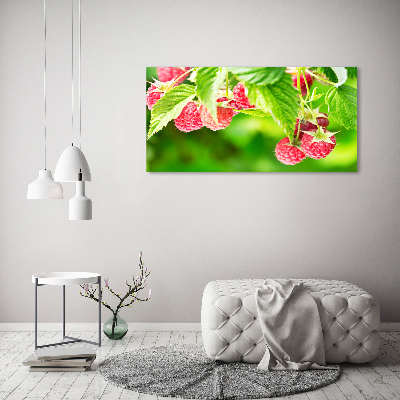 Tableau imprimé sur verre Framboises dans le jardin