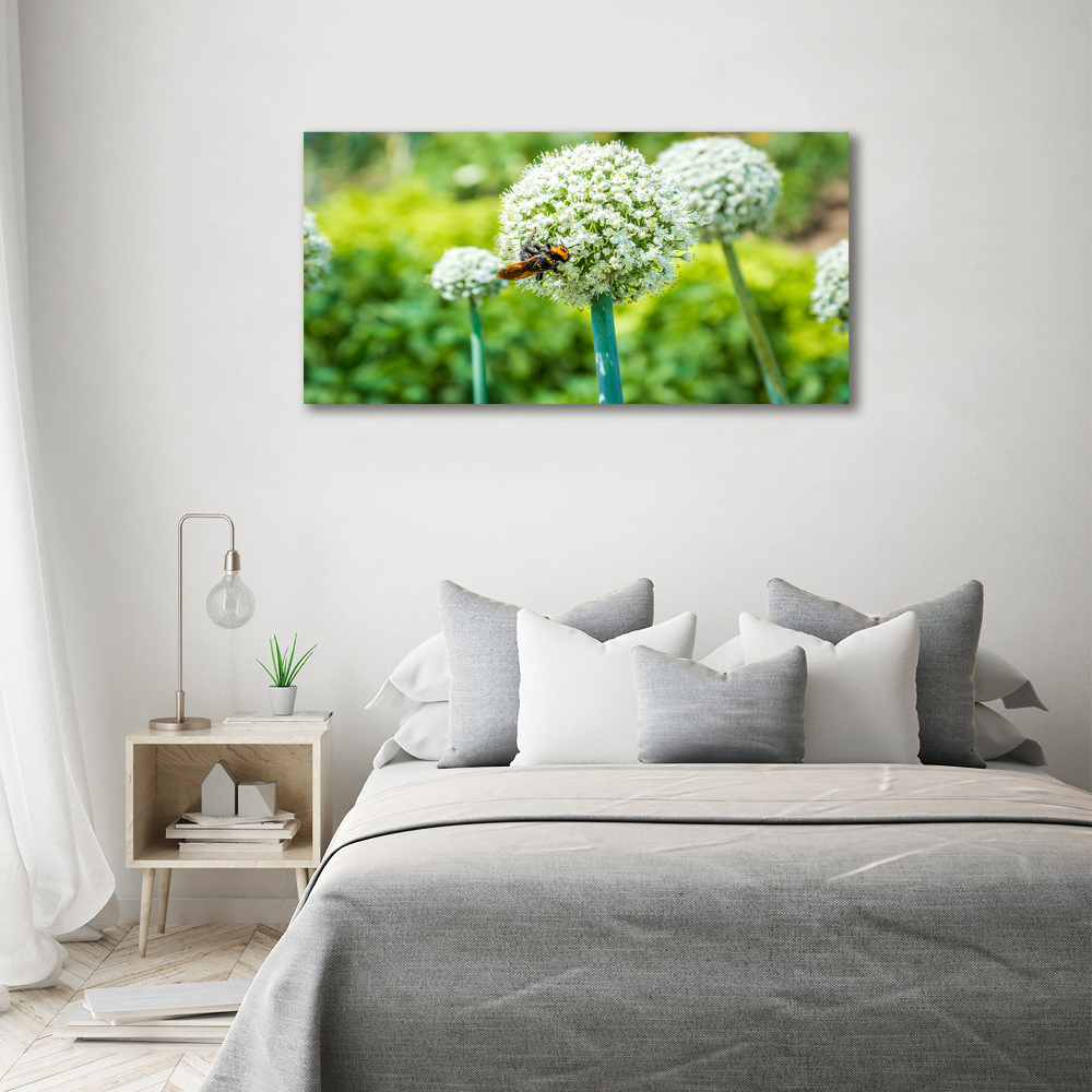 Tableau imprimé sur verre Ail en fleur