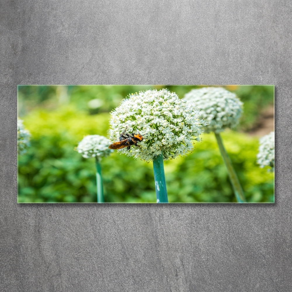 Tableau imprimé sur verre Ail en fleur