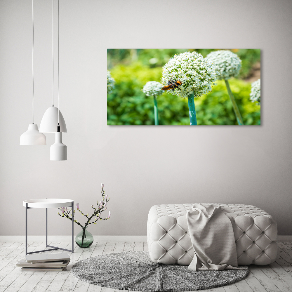 Tableau imprimé sur verre Ail en fleur