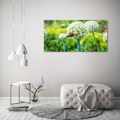 Tableau imprimé sur verre Ail en fleur