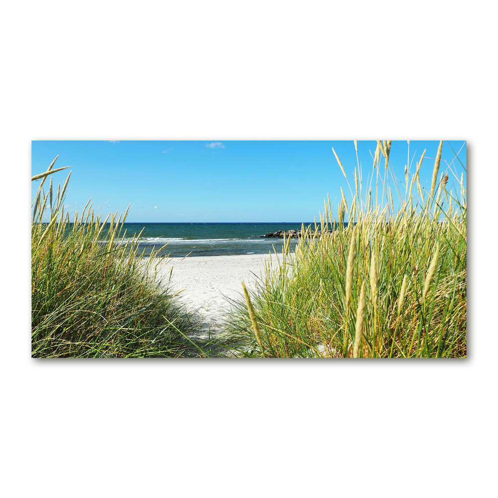 Tableau sur verre Dunes côtières