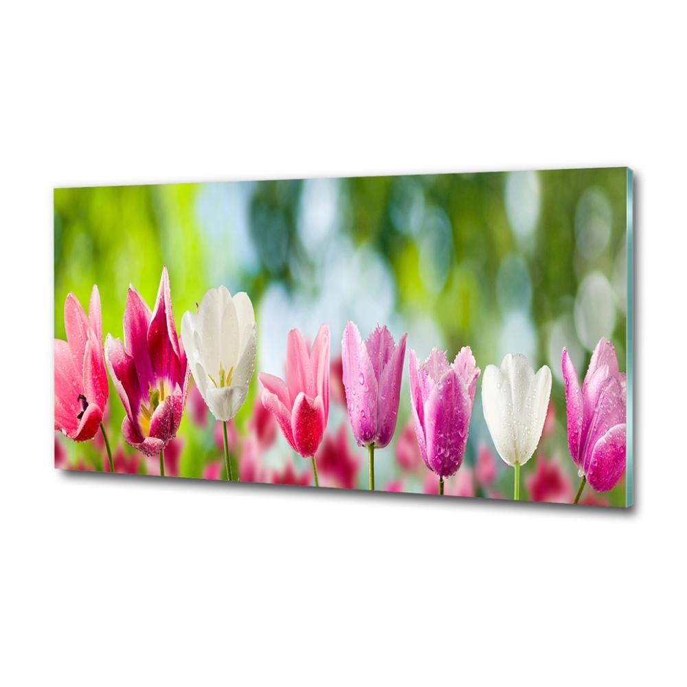 Tableau en verre Tulipes