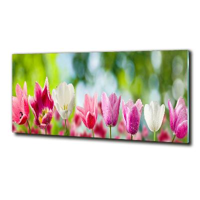 Tableau en verre Tulipes