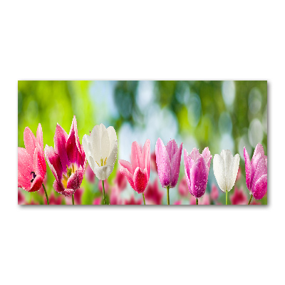 Tableau en verre Tulipes