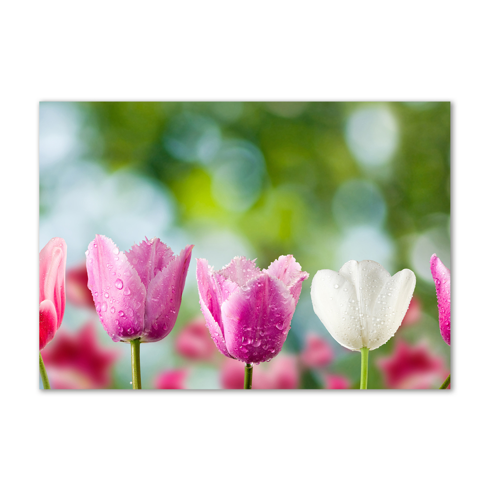 Tableau en verre Tulipes