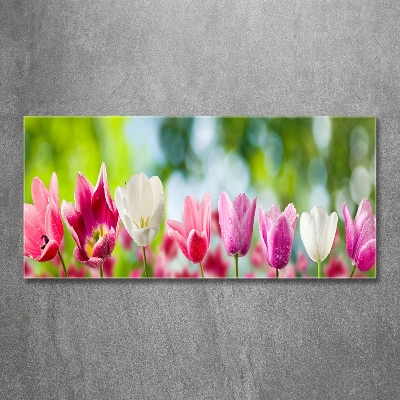 Tableau en verre Tulipes