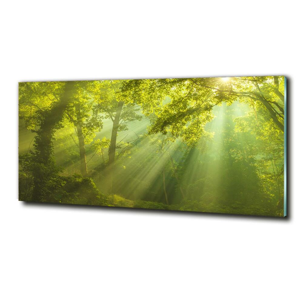 Tableau sur verre Forêt au soleil