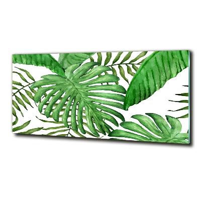 Tableau en verre Feuilles tropicales vertes