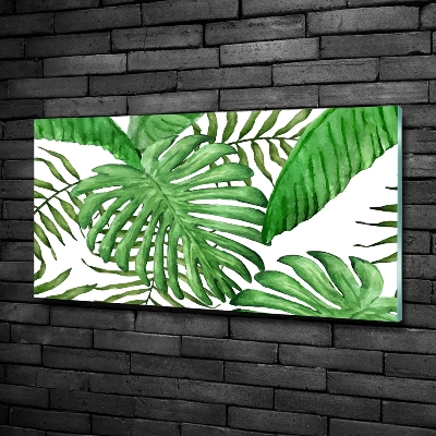 Tableau en verre Feuilles tropicales vertes