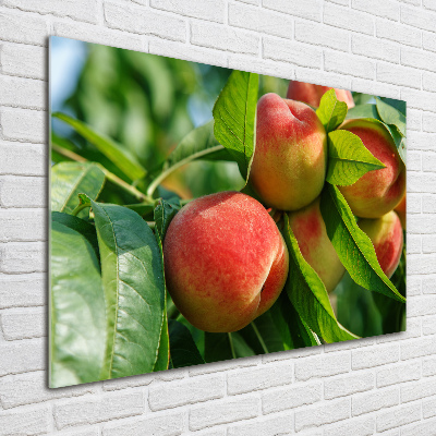 Tableau photo sur verre Pêche