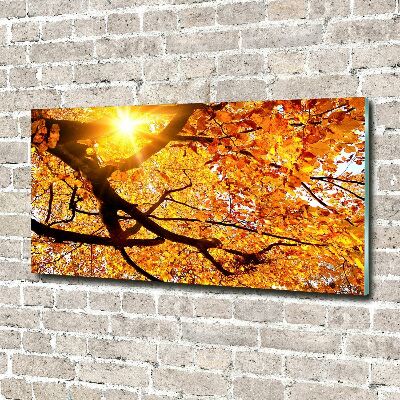 Tableau photo sur verre Couronne d'arbres en automne