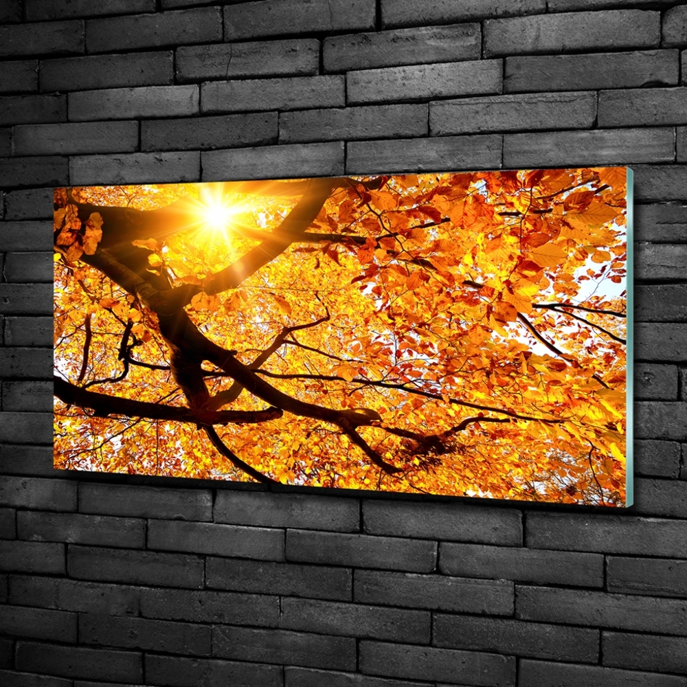 Tableau photo sur verre Couronne d'arbres en automne