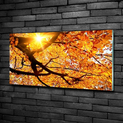 Tableau photo sur verre Couronne d'arbres en automne