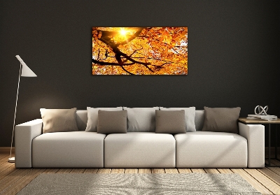 Tableau photo sur verre Couronne d'arbres en automne