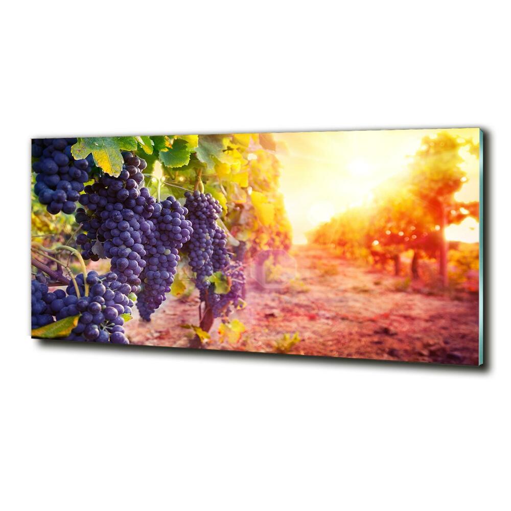 Tableau photo sur verre Vignes