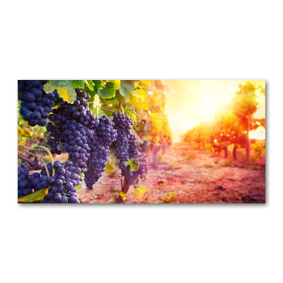 Tableau photo sur verre Vignes