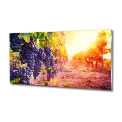 Tableau photo sur verre Vignes