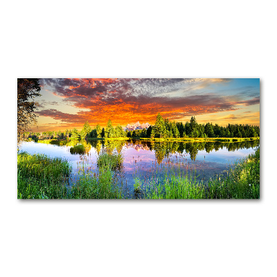 Tableau photo sur verre Rivière dans la forêt