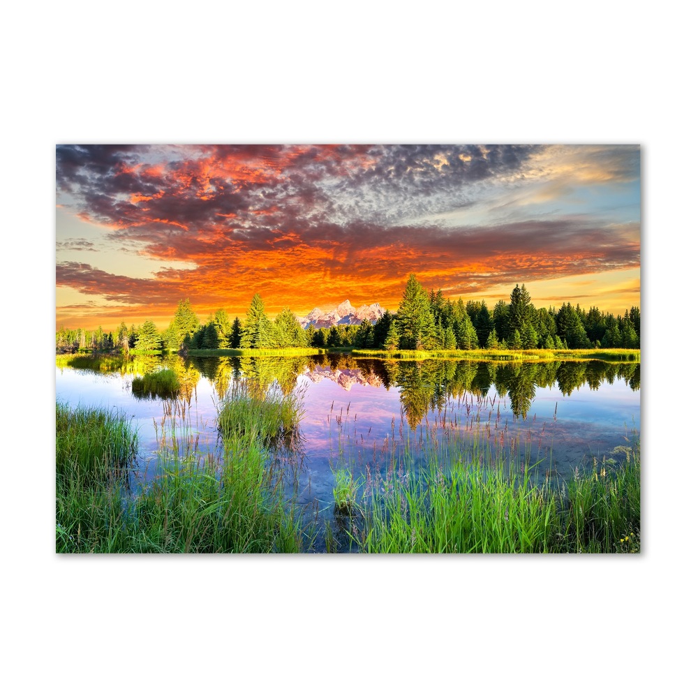 Tableau photo sur verre Rivière dans la forêt