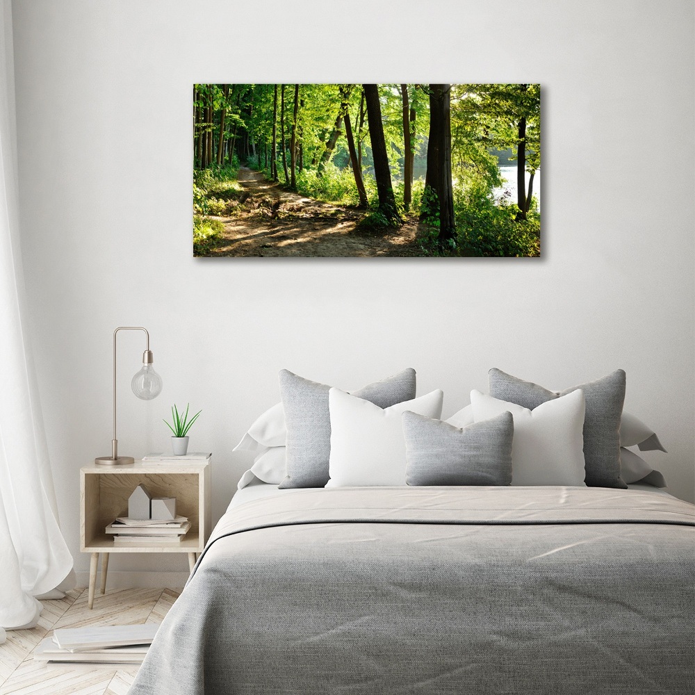 Tableau en verre Chemin dans la prairie